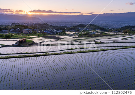 《山梨縣》日本黎明與初夏梯田的原始景觀《中野梯田》 112802476