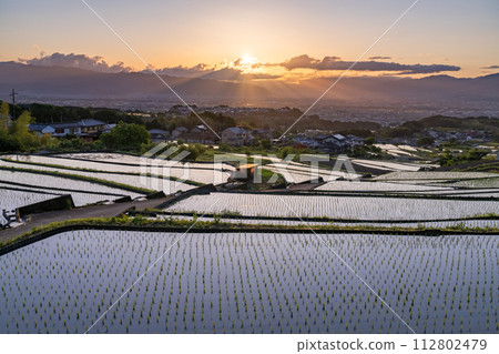 《山梨縣》日本黎明與初夏梯田的原始景觀《中野梯田》 112802479
