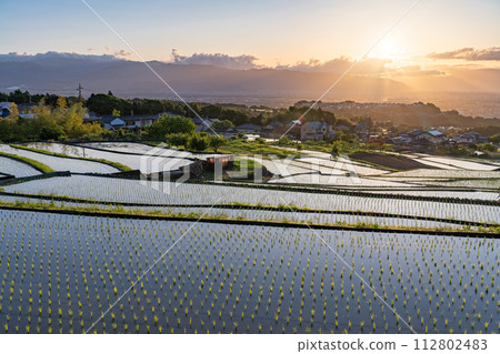 《山梨縣》日本黎明與初夏梯田的原始景觀《中野梯田》 112802483