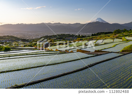 《山梨縣》日本黎明與初夏梯田的原始景觀《中野梯田》 112802488