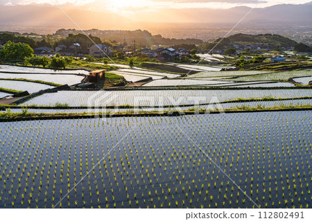 《山梨縣》日本黎明與初夏梯田的原始景觀《中野梯田》 112802491