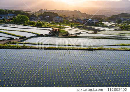《山梨縣》日本黎明與初夏梯田的原始景觀《中野梯田》 112802492