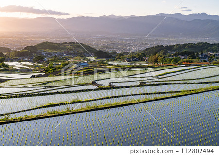 《山梨縣》日本黎明與初夏梯田的原始景觀《中野梯田》 112802494