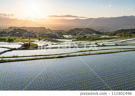 《山梨縣》日本黎明與初夏梯田的原始景觀《中野梯田》 112802496