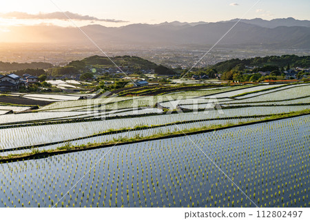 《山梨縣》日本黎明與初夏梯田的原始景觀《中野梯田》 112802497