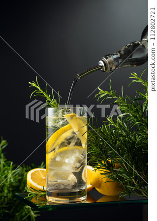 Cocktail gin tonic with ice, lemon, and rosemary. Cocktail gin tonic with ice, lemon, and rosemary. 112802721