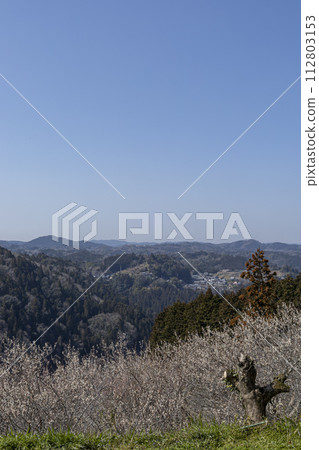 從山頂看到的風景 從山頂看到的風景 112803153