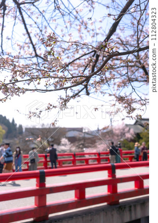 230402 Nakahashi Sakuraz003 112804323