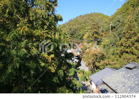 Autumn scenery of Saga Toriimoto 112804374