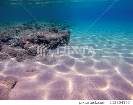 Underwater life of reef with corals and tropical fish. Coral Reef at the Red Sea, Egypt. 112804593