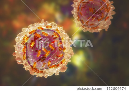 Leukaemia white blood cell with mitochondria3D illustration Leukaemia white blood cell with mitochondria3D illustration 112804674