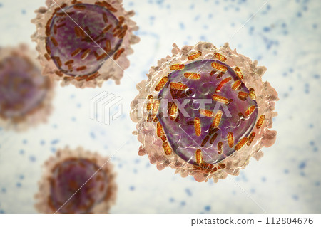 Leukaemia white blood cell with mitochondria3D illustration 112804676