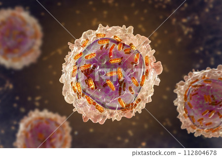 Leukaemia white blood cell with mitochondria3D illustration 112804678