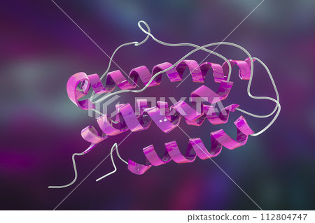Molecular model of human erythropoietin 112804747