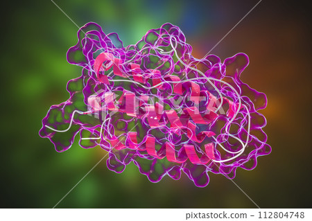Molecular model of human erythropoietin 112804748