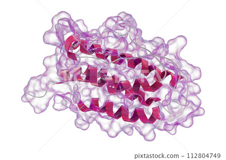 Molecular model of human erythropoietin 112804749