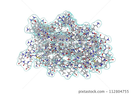 Molecular model of human erythropoietin 112804755