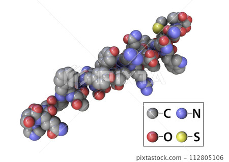 Molecule of the human hormone glucagon 112805106