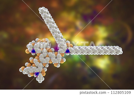 Molecule of Ganglioside GM2 Molecule of Ganglioside GM2 112805109