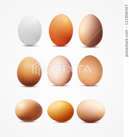 Realistic vector image of yellow and white eggs Realistic vector image of yellow and white eggs 112806507