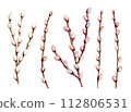 Watercolor hand drawn easter willow pussy branches set tender and slim 112806531
