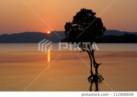 Sunset and a single hirugi Sunset and a single hirugi 112806606