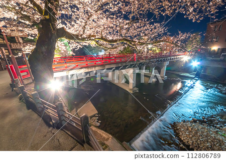 230403 Nakabashi Night Cherry Blossoms s085 112806789