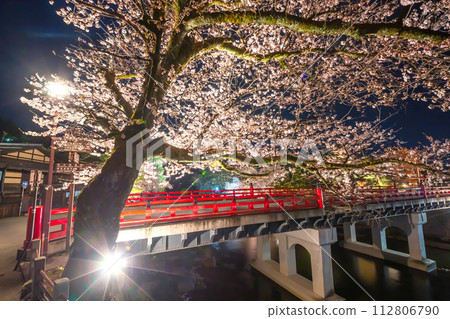 230403 Nakabashi night cherry blossoms s083 112806790