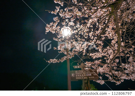 230403 中橋夜櫻花S071 230403 中橋夜櫻花S071 112806797