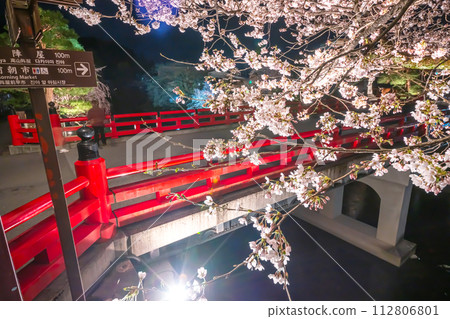 230403中橋夜櫻花S052 230403中橋夜櫻花S052 112806801