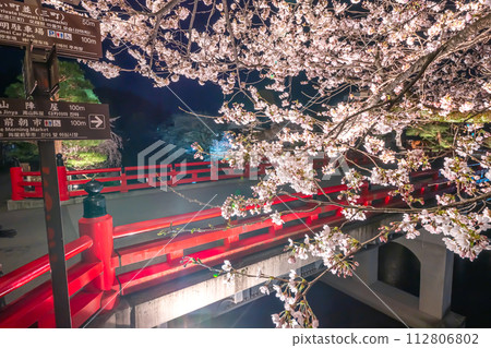 230403中橋夜櫻花S051 230403中橋夜櫻花S051 112806802