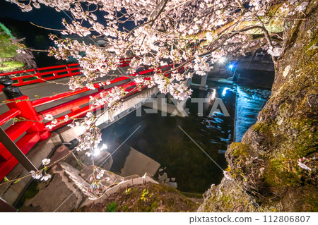 230403 中橋夜櫻花S031 112806807