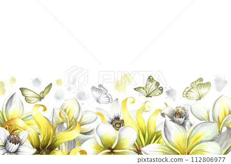 A border with fragrant flowers of plumeria, frangipani, orange blossom and ylang-ylang. Vintage delicate frame with tropical flowers and butterflies. Hand-drawn watercolor illustration. For postcards. 112806977