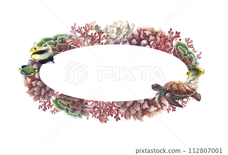 Oval frame with corals, sea turtle and fish. Hand-painted watercolor painting. Aquarium, tropics, reefs. For labels, business cards and packaging, postcards and flyers, template for labels. 112807001