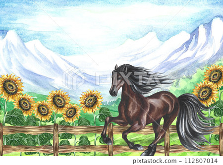 A galloping horse on the background of a rural landscape with snowy mountains and a wooden fence, sunflowers. Hand-drawn watercolor illustration. For printing, packaging, postcards and banners. 112807014
