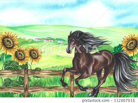 A galloping horse on the background of a rural landscape with a wooden fence and sunflowers. Hand-drawn watercolor illustration. A rustic style banner. For printing, packaging, postcards, decorations. A galloping horse on the background of a rural landscape with a wooden fence and sunflowers. Hand-drawn watercolor illustration. A rustic style banner. For printing, packaging, postcards, decorations. 112807018