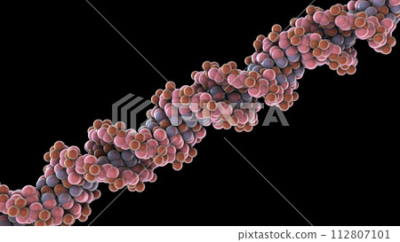 Double helix of DNA, 3D illustration Double helix of DNA, 3D illustration 112807101