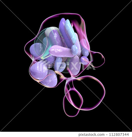 Hypothalamic nuclei, 3D illustration 112807344
