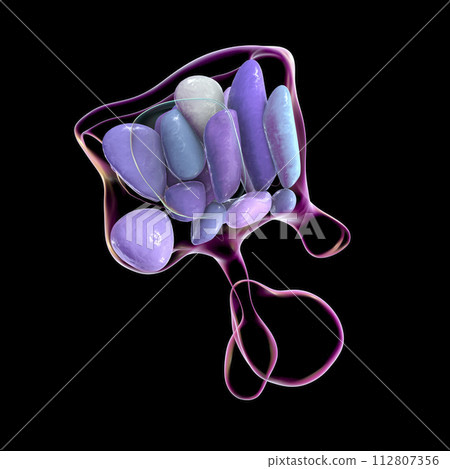 Hypothalamic nuclei, 3D illustration 112807356