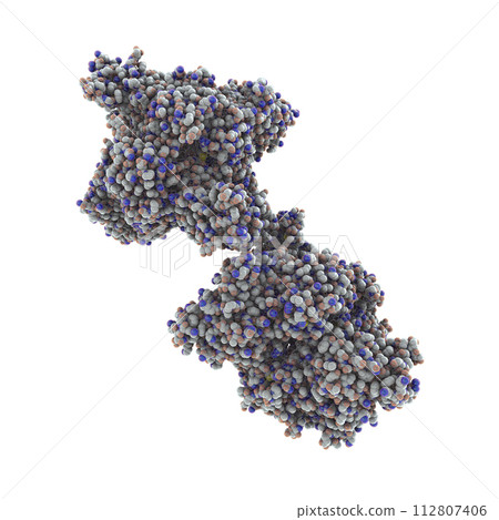 Molecule of beta-hexosaminidase A Molecule of beta-hexosaminidase A 112807406