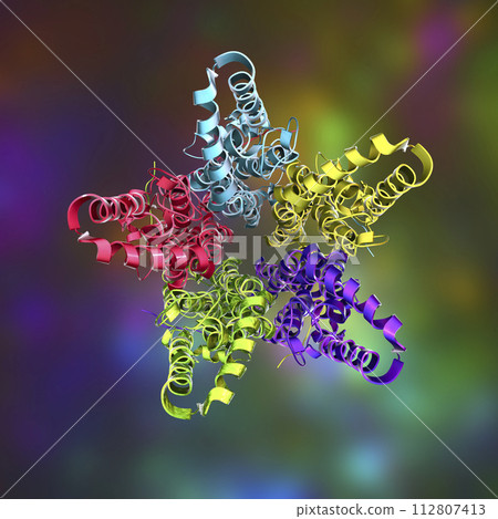 Molecular model of Bestrophin-1 protein Best 1, 3D illustration. A protein responsible for regulating calcium signaling in cells Molecular model of Bestrophin-1 protein Best 1, 3D illustration. A protein responsible for regulating calcium signaling in cells 112807413