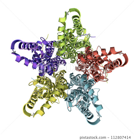 Molecular model of Bestrophin-1 protein Best 1, 3D illustration. A protein responsible for regulating calcium signaling in cells 112807414
