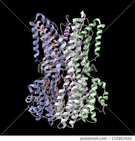 Molecular model of Bestrophin-1 protein Best 1, 3D illustration. A protein responsible for regulating calcium signaling in cells Molecular model of Bestrophin-1 protein Best 1, 3D illustration. A protein responsible for regulating calcium signaling in cells 112807420