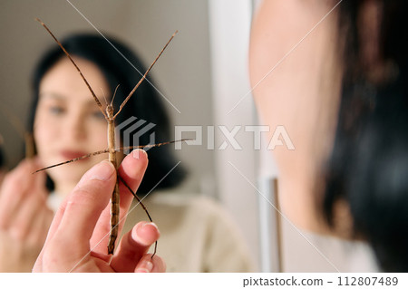 Young Woman Captured in a Beautiful Moment with Her Stick Insect (Medauroidea Extradentata) Young Woman Captured in a Beautiful Moment with Her Stick Insect (Medauroidea Extradentata) 112807489
