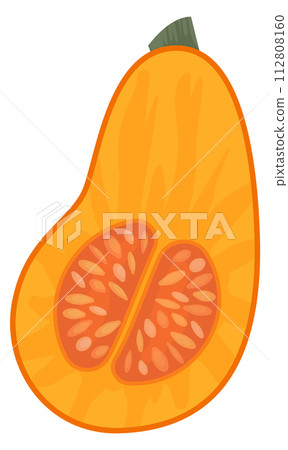 Raw squash half cut. Organic vegetable food 112808160