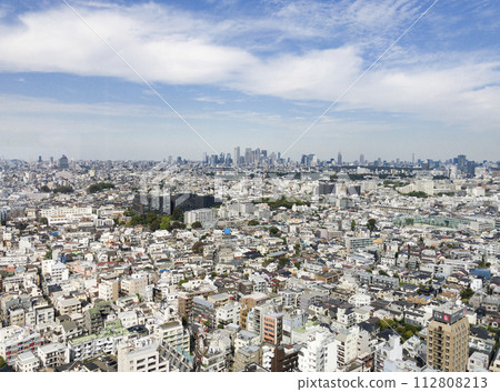 View of Tokyo from Sangenjaya Carrot Tower 112808213