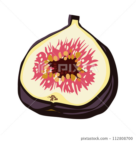 Healthy half a purple fig on white background. Isolated vector summer fruit in flat style. 112808700