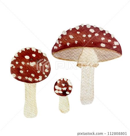 Watercolor hand drawn fly agaric red cap with white spots illustration set isolated on white Watercolor hand drawn fly agaric red cap with white spots illustration set isolated on white 112808801