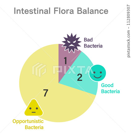 Pie chart design of optimal balance of intestinal flora Pie chart design of optimal balance of intestinal flora 112809307