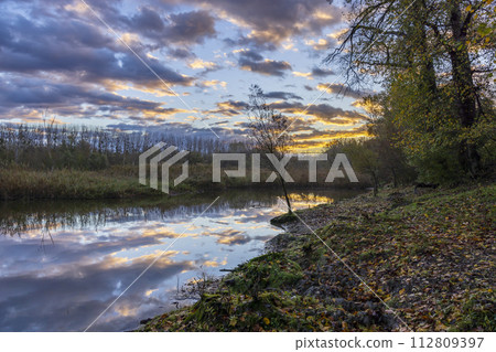 Gemenc, unique forest between Szekszard and Baja, Dunaj-Drava National Park, Hungary Gemenc, unique forest between Szekszard and Baja, Dunaj-Drava National Park, Hungary 112809397